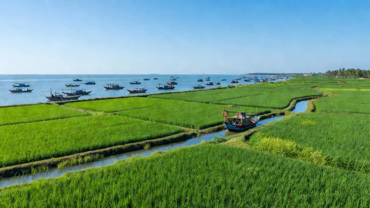 Huyện Gò Công Đông, Tỉnh Tiền Giang - Giới thiệu quận huyện