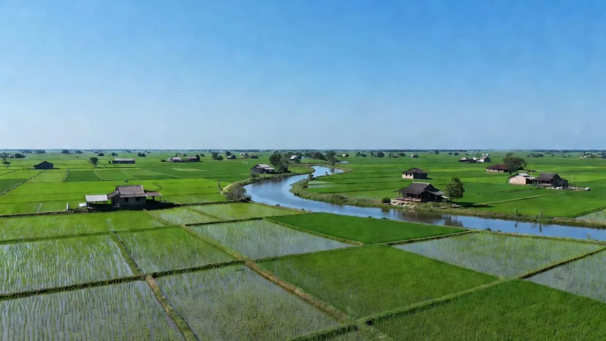 Huyện Tam Bình, Tỉnh Vĩnh Long - Giới thiệu quận huyện