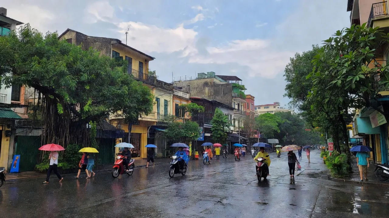 Dự báo thời tiết Hà Nội ngày 29/6 với cảnh mưa nhẹ và người dân di chuyển dưới cây xanh.