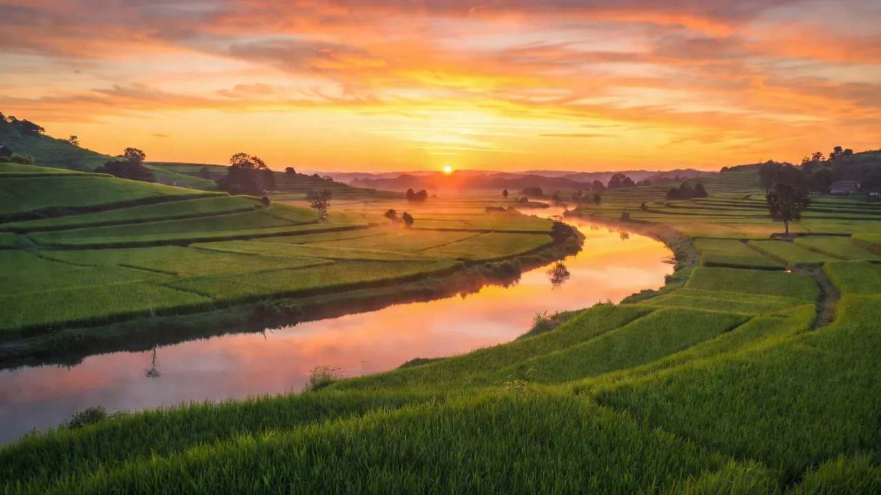 Bình minh tuyệt đẹp ở Việt Nam với mặt trời mọc, bầu trời màu sắc rực rỡ, cảnh đẹp thiên nhiên.
