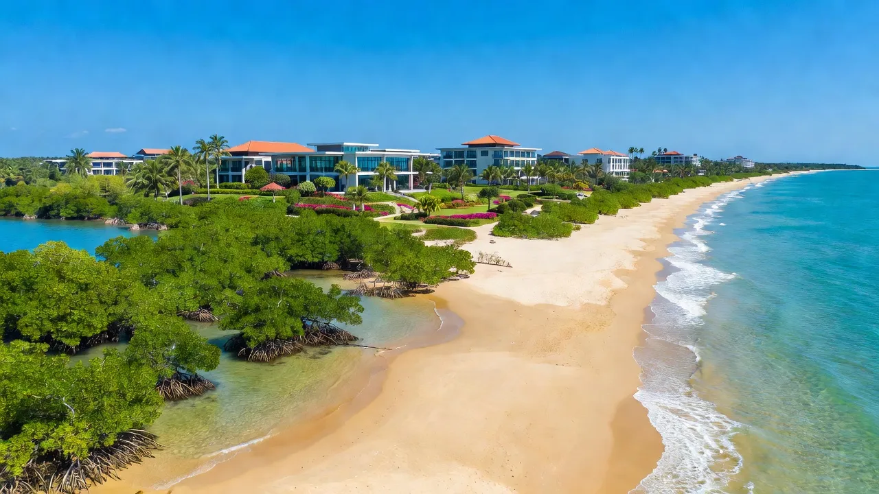 Khung cảnh tuyệt đẹp huyện Xuyên Mộc, Bà Rịa - Vũng Tàu với bãi biển dài và rừng ngập mặn.