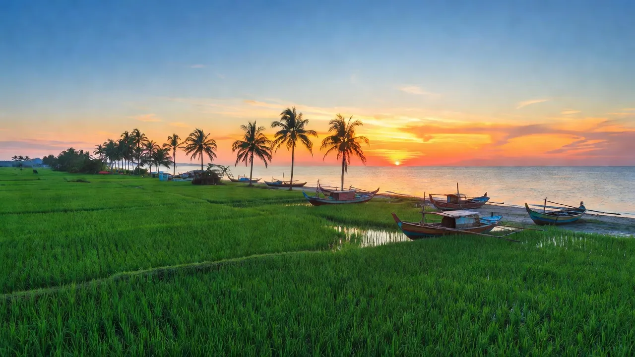 Cảnh quan ven biển Thạnh Phú, Bến Tre với cánh đồng lúa và thuyền đánh cá.