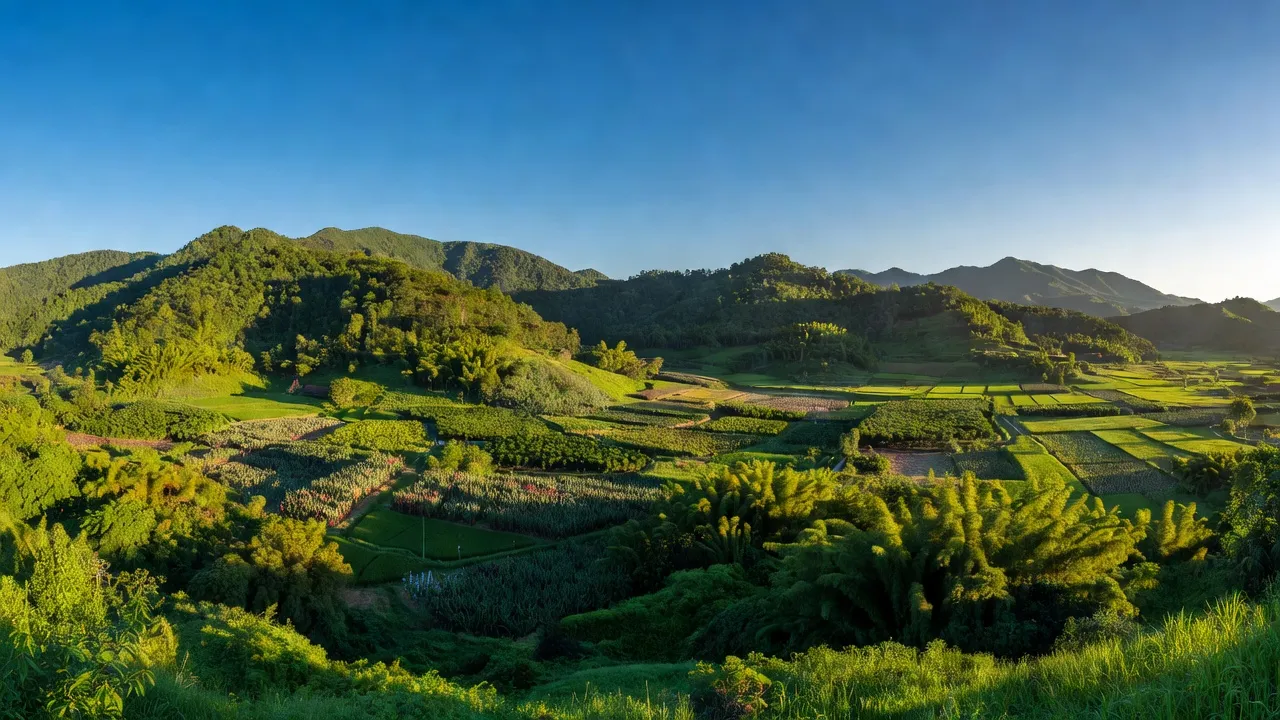 Cảnh đẹp huyện Tánh Linh, tỉnh Bình Thuận với rừng xanh và núi non, nổi bật hệ sinh thái.
