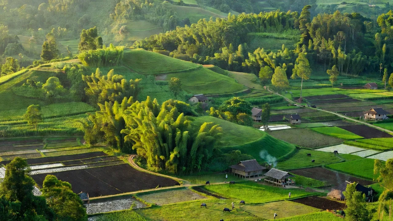 Phong cảnh thiên nhiên xã Thạch Lâm, huyện Bảo Lâm, tỉnh Cao Bằng, rừng cây và đất nông nghiệp.