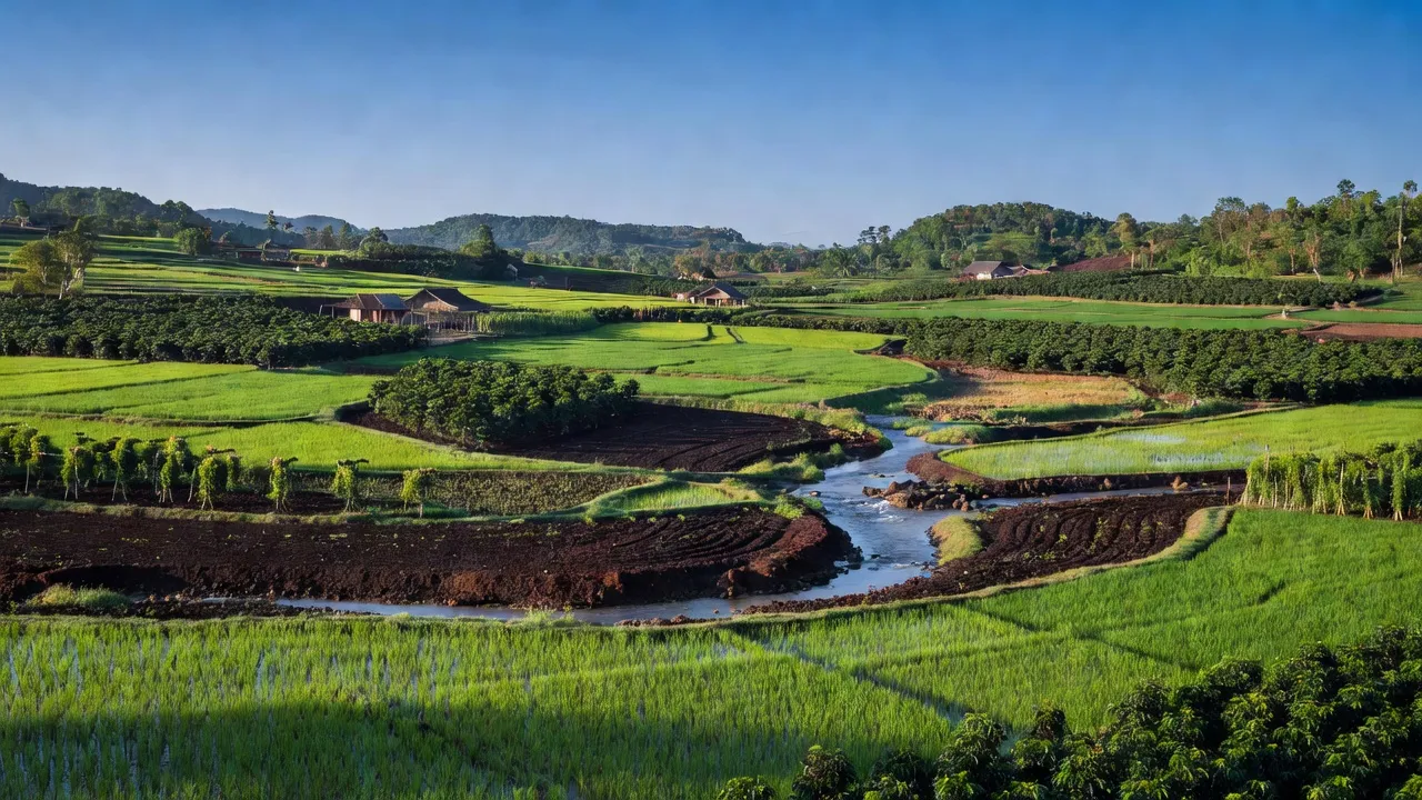 Cảnh quan huyện Krông Pắc, tỉnh Đắk Lắk với đồng ruộng màu mỡ và hệ thống sông suối phong phú.