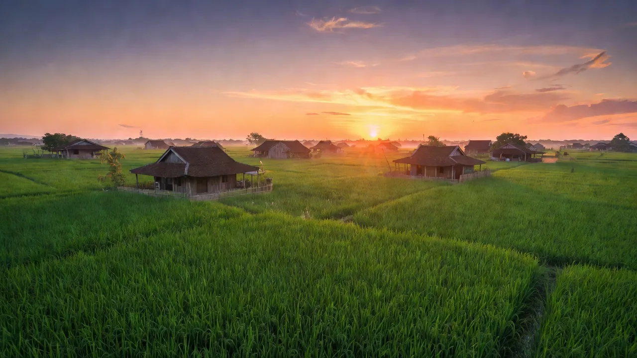 Cảnh đẹp Huyện Châu Thành, Kiên Giang với những cánh đồng xanh mướt và ánh hoàng hôn ấm áp.