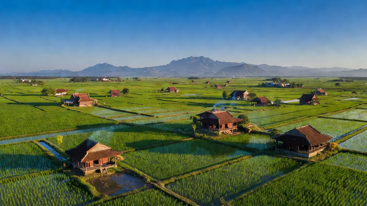 Cánh đồng xanh mướt ở Huyện Giang Thành, Tỉnh Kiên Giang với nhà truyền thống và bầu trời quang đãng.