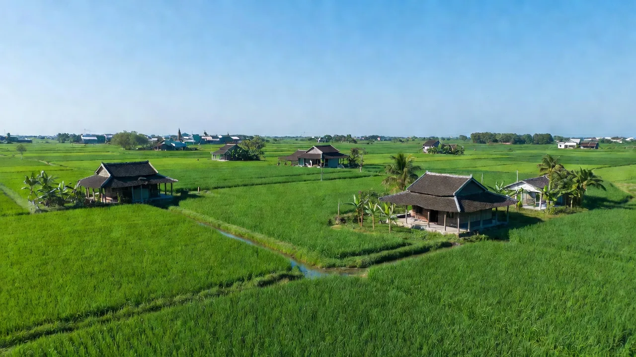 Cảnh đẹp huyện Vụ Bản, Nam Định với cánh đồng xanh mượt và nhà truyền thống Việt Nam.