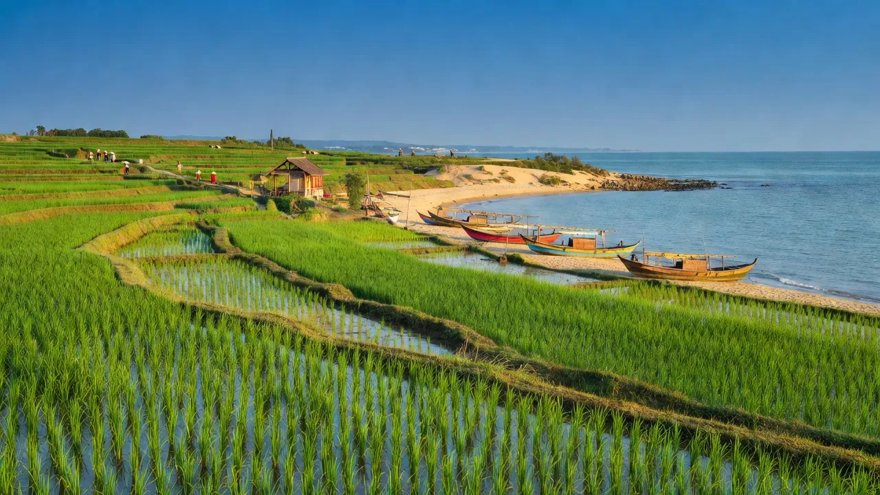 Diễn Châu, Nghệ An's picturesque landscape with rice fields and coastal scenery, reflecting local culture.