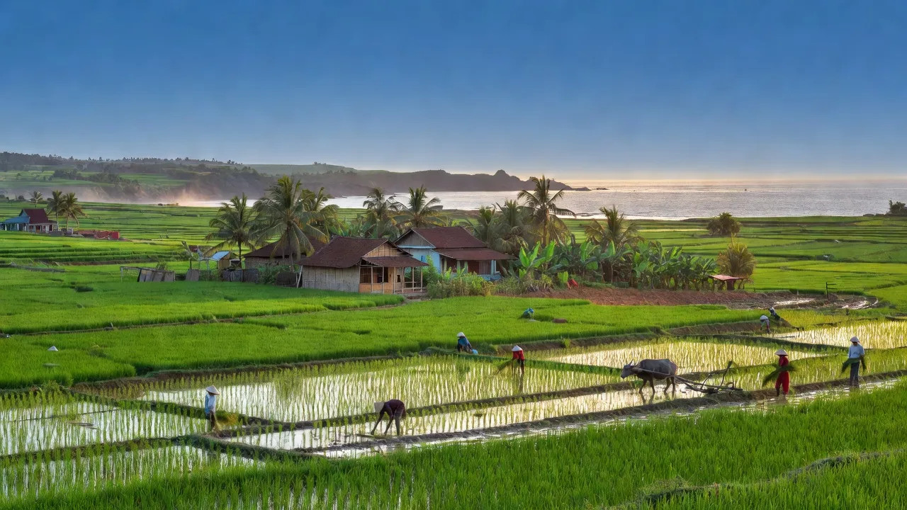 Khung cảnh huyện Quỳnh Lưu, Nghệ An với ruộng lúa và nhà truyền thống, trời xanh.