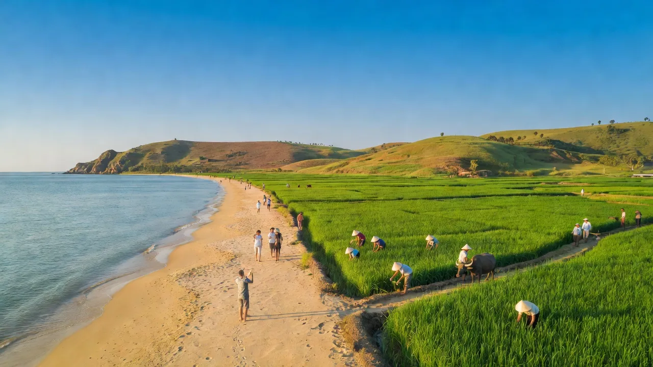 Khung cảnh huyện Gio Linh, Quảng Trị với biển xanh, cát vàng và đồng ruộng xanh tốt.