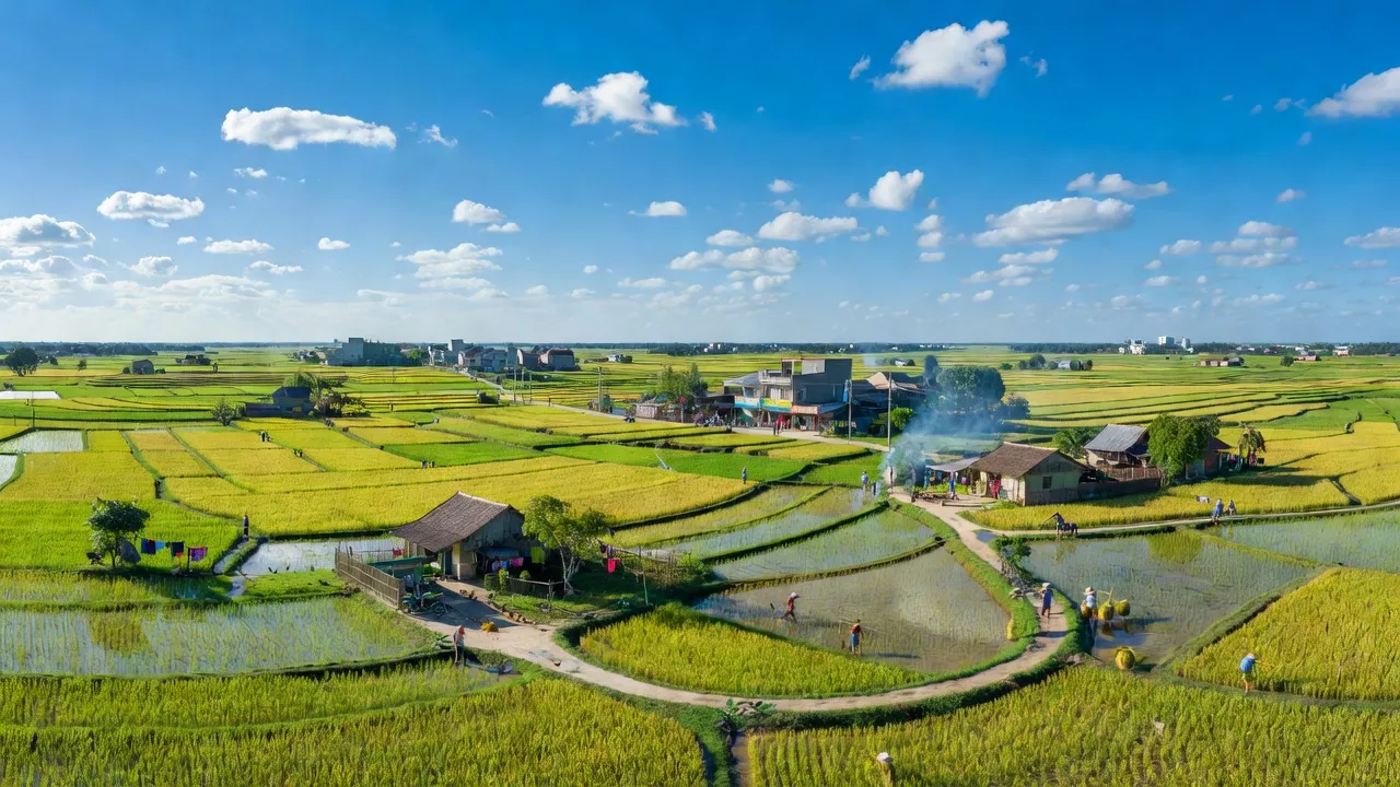 Cảnh đẹp huyện Kiến Xương, tỉnh Thái Bình với ruộng lúa và khu vực đô thị phát triển.