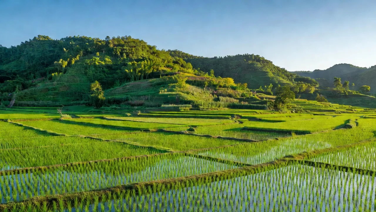 Khung cảnh huyện Thạch Thành, Thanh Hóa với cánh đồng và đồi núi, đặc trưng tự nhiên.