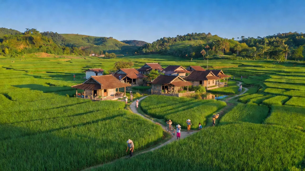 Cảnh đẹp huyện Thiệu Hóa, Thanh Hóa với cánh đồng xanh và nhà truyền thống Việt Nam.