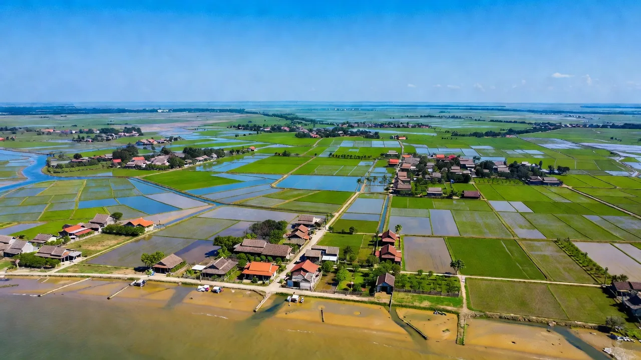 Cảnh biển Huyện Gò Công Đông, Tiền Giang với ruộng lúa và nhà cổ truyền thống, nắng rực rỡ.