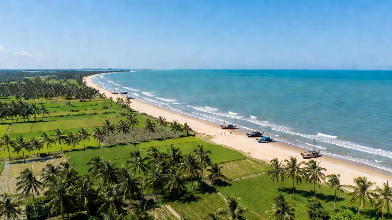 Khung cảnh ven biển huyện Gò Công Đông, Tiền Giang với cây xanh và sóng nhẹ.